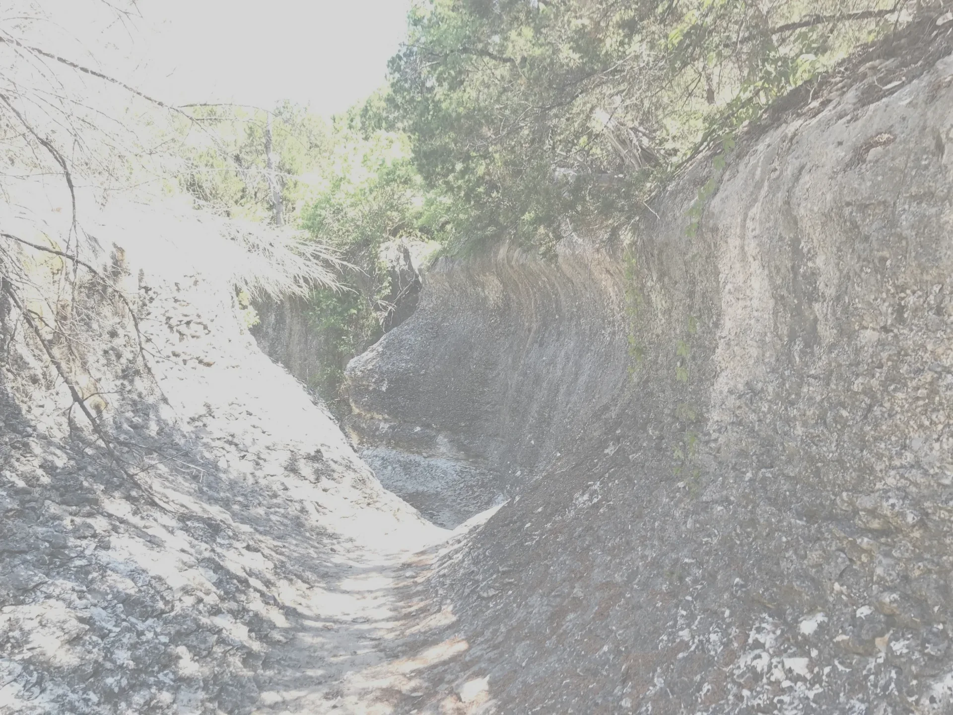 A narrow footpath running through a limestone cut on a Round Rock greenbelt trail